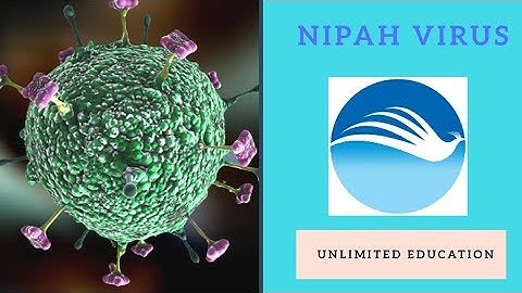 Nipah Virus: All You Need To Know About Nipah Virus.