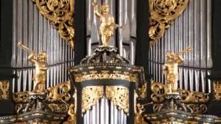 Sietze de Vries - Martini-orgelvespers, LvK 285