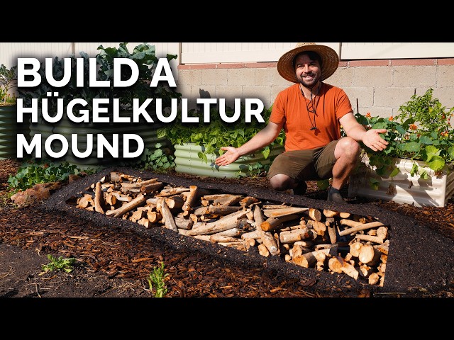 Hugle Hugelkultur Raised Bed Box 7 Common Mistakes In Raised Bed Gardening