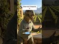 CAPE TOWN TRAVEL GUIDE: Hidden Spots a Dinosaur Actually Recommends 🦕