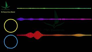 SKYLINK - The Wizard #SKYLINK #TheWizard SKYL1NK [Extended Mix] #Dubstep #DanceMusic | TTA Spectrum