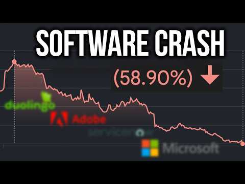 Software Stocks Are Collapsing - A Historic Buying Chance?