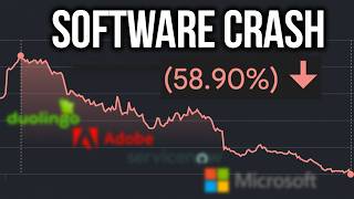 Software Stocks Are Collapsing - A Historic Buying Chance?