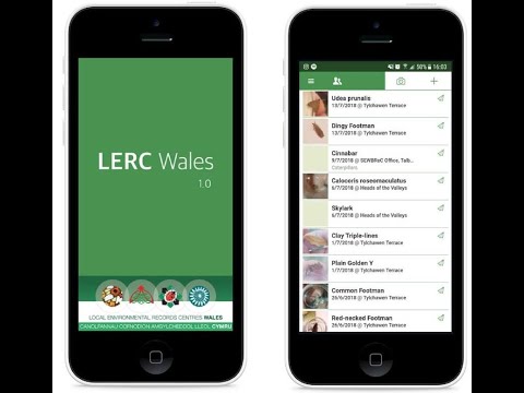 Using the LERC Wales App to record the wildlife you see