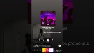 Cant Get Pum Pum Fire Flames Silectah Shabba Promo Mixtape2025