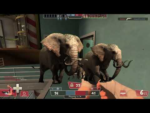 elephant green screen effect