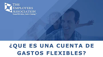 ¿Cuáles son los dos tipos de cuentas de gastos flexibles?