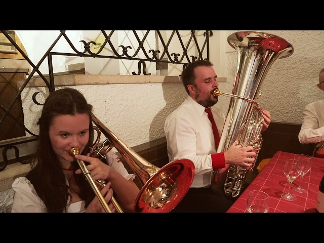 Vollblutmusikanten - Lebenslinien