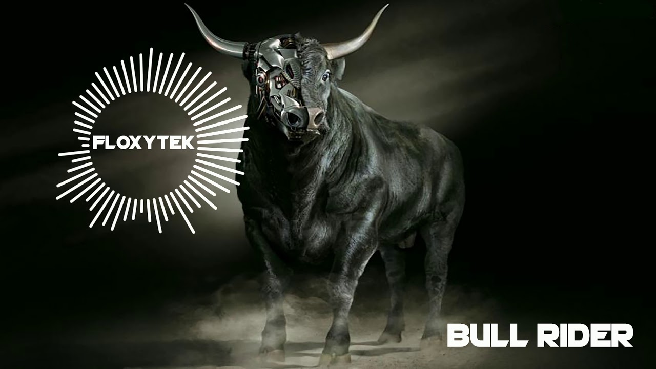 Floxytek - Bull Rider