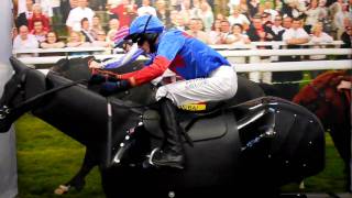 Racehorse Simulator MK1 screenshot 3