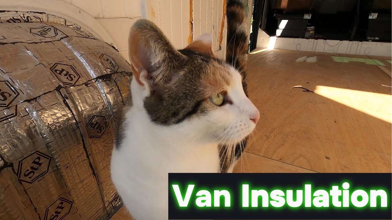 How to Insulate Your Van For Cheap!!!(part5) - YouTube