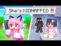 Baby APHMAU Was KIDNAPPED In Minecraft!