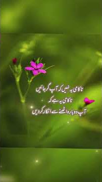 #naqami ye nahi k ap gir Jai 💞💞 #poetry