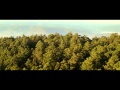 Healing Trailer