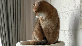 🐈  퍼팅연습 꾸준함 성장