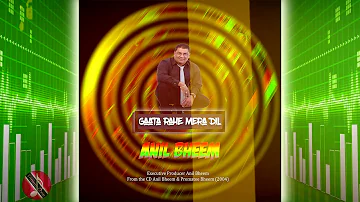 Anil Bheem - Gaata Rahe Mera Dil [ Bollywood Cover ]