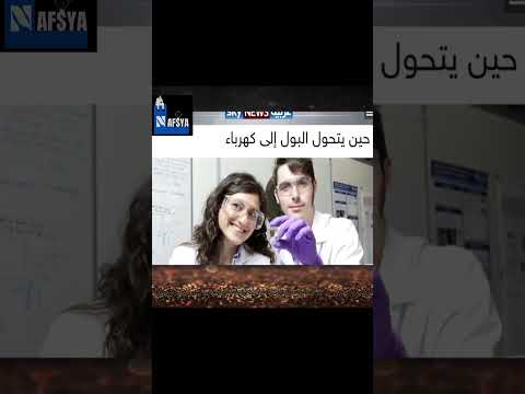 تبول تجيب كهربا معروفة