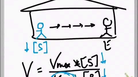 How do you explain Michaelis Menten to a kid?