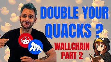 Wallchain Update: New Quacks Leaderboards, Multipliers & ApeCoin / HeyElsa Tips