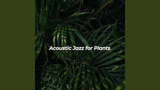 Peaceful Moods for Timeless Classics