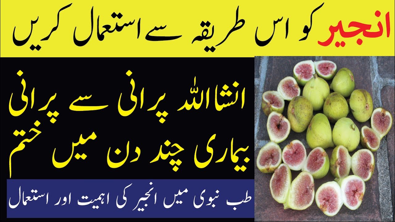 Unlimited benefits of Eating Fig in This way Urdu/Hindi YouTube