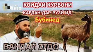 ХОЧИ МИРЗО 2023 МАСАЛАЙ ИДИ КУРБОНИ ЧИ ГУНА ?