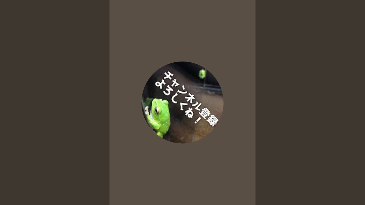 【ピアノライブ演奏】練習中！ロージークロニクル名曲メドレー