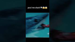 shark in swimming pool #shorts #viral #movieexplainedinhindi #viralshorts