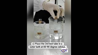 SK015 EXPERIMENT 5 - Chemical Equilibrium
