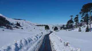 Icalma, Araucania Chile