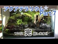 日本のアクアテラリウム水槽立上げ Part.7(最終回）