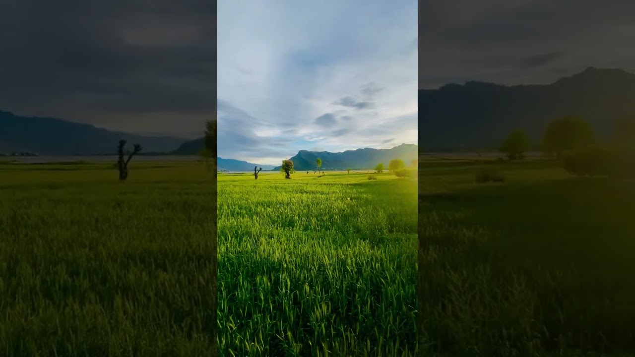 Amazing view of green field and sunset after heavy rain. | swat kpk | Zavi photography