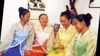 Hanya Sekali - Feminin (with lyric)