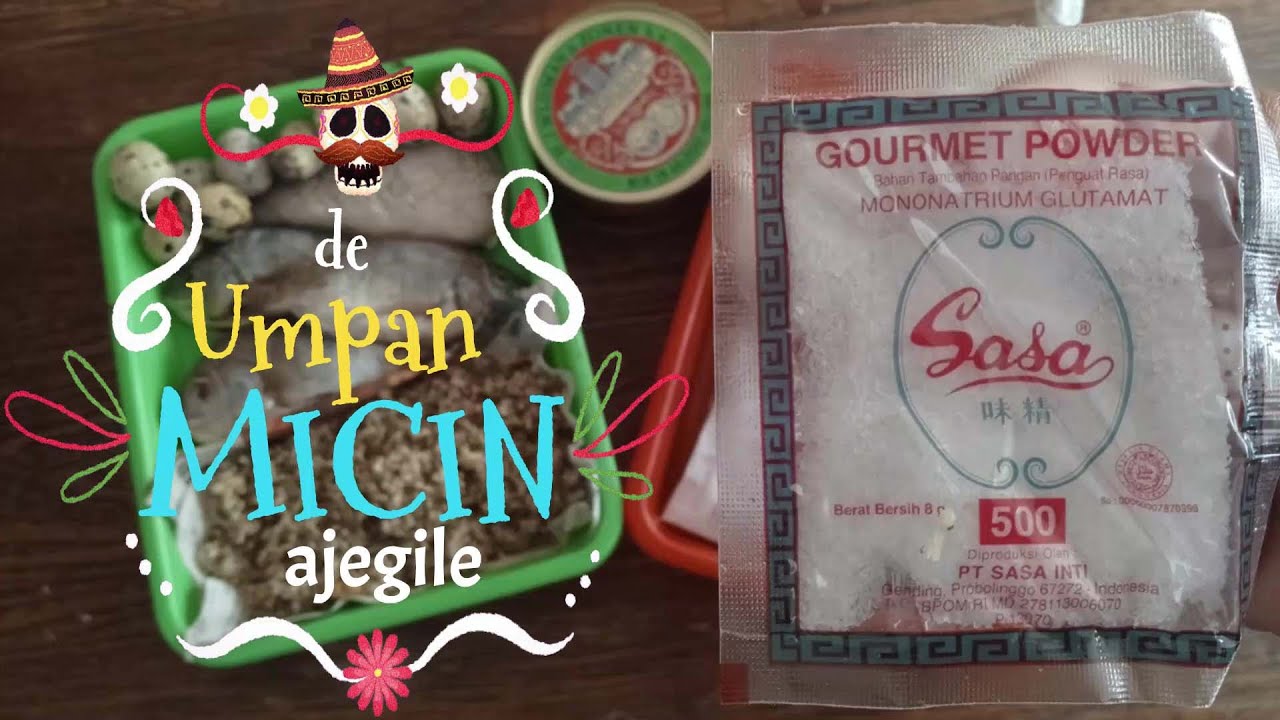 Umpan Mecin, Umpan ikan mas musim hujan