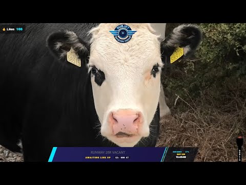🔴Dublin Airport LIVE Plane Spotting - DUB/EIDW - 21/08/2026