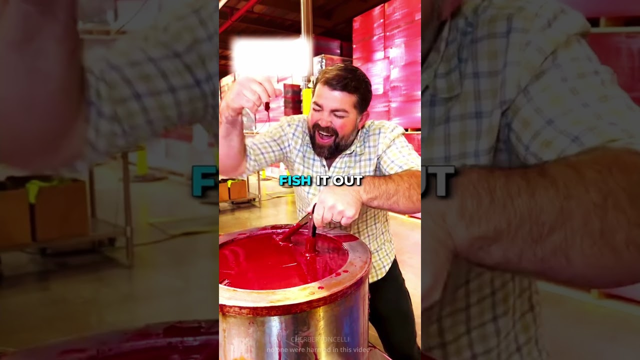 reels 2 video