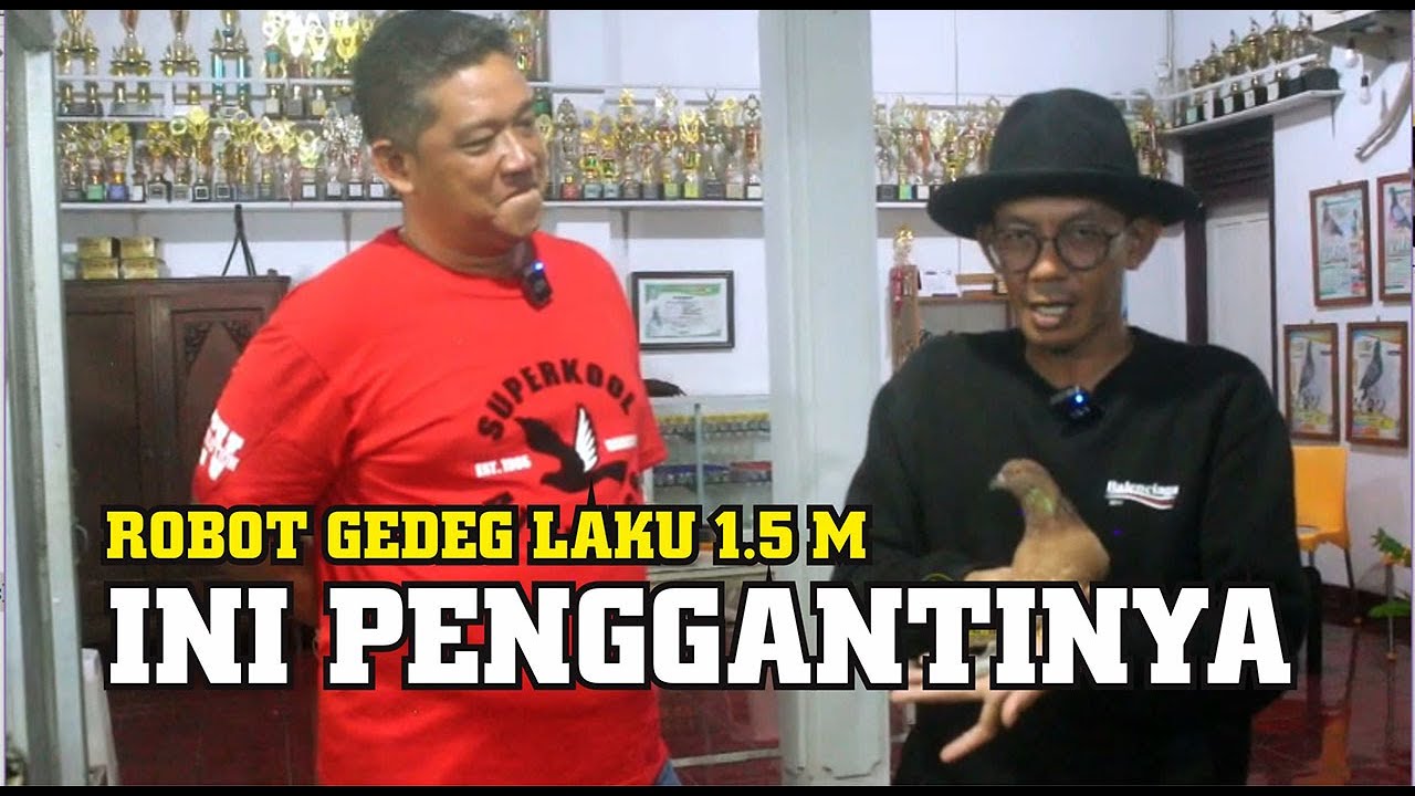 ROBOT GEDEG LAKU 1.5 M KE NSF : INI PENGGANTI ROBOT GEDEG // MUTIARA PEURWOKERTO