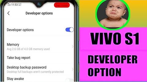 vivo s1 developer options l developer Settings vivo s1