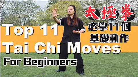 Tai Chi Movements For Beginners| 11個太極拳必學動作 - 天天要聞