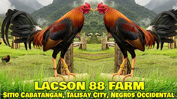 Beautiful John Bishop Kelso LACSON 88 FARM Talisay - Farm Visit
