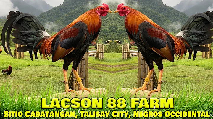 Beautiful John Bishop Kelso LACSON 88 FARM Talisay...