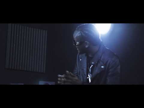 Mighty Wayne - Barking Remix (Weedmix) [Full HD Video]