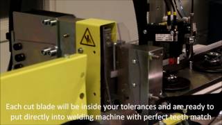 ALO 177-H-100 Cut to length machine with match finder system