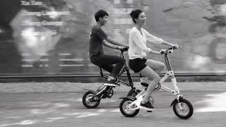 12 inch folding e bike Ecorider scooter E6-2