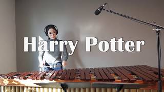 마림바로 연주하는 Harry Potter(해리포터) / Marimba Cover