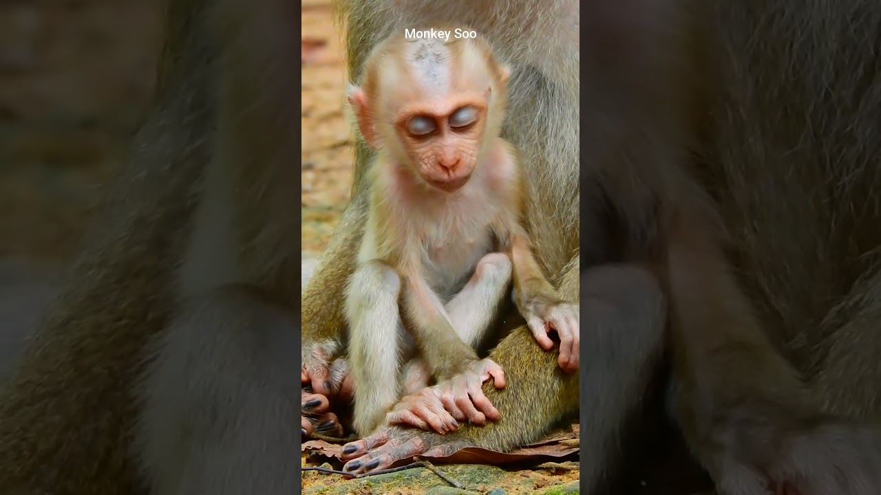 So pity baby Luna so tired and exhausted#