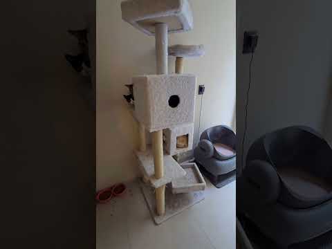 Casa Guayabe | 4 Niveles en un Terreno de Solo 8x20 #Casa8x20 #CasaConPatio #PatioCentral