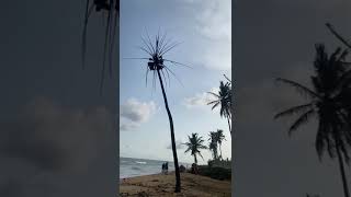 Rescue Mission At Ashipa Coastal Fire Incident