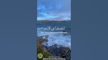 الشيخ محمد صديق المنشاوي - سورة القصص-آية 5
