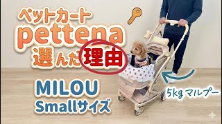Pet Stroller] Why We Chose the pettena 